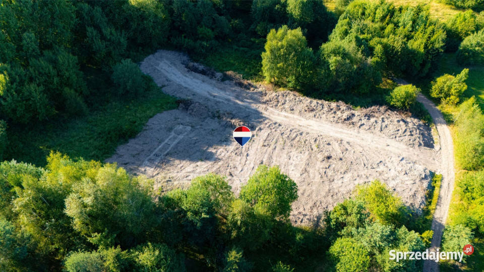 Działka rolna Sprzedaż Kasina Wielka Polska