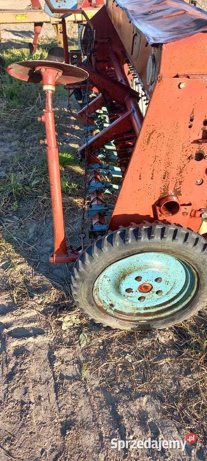 Siewnik poznaniak wielkopolskie Opatówek