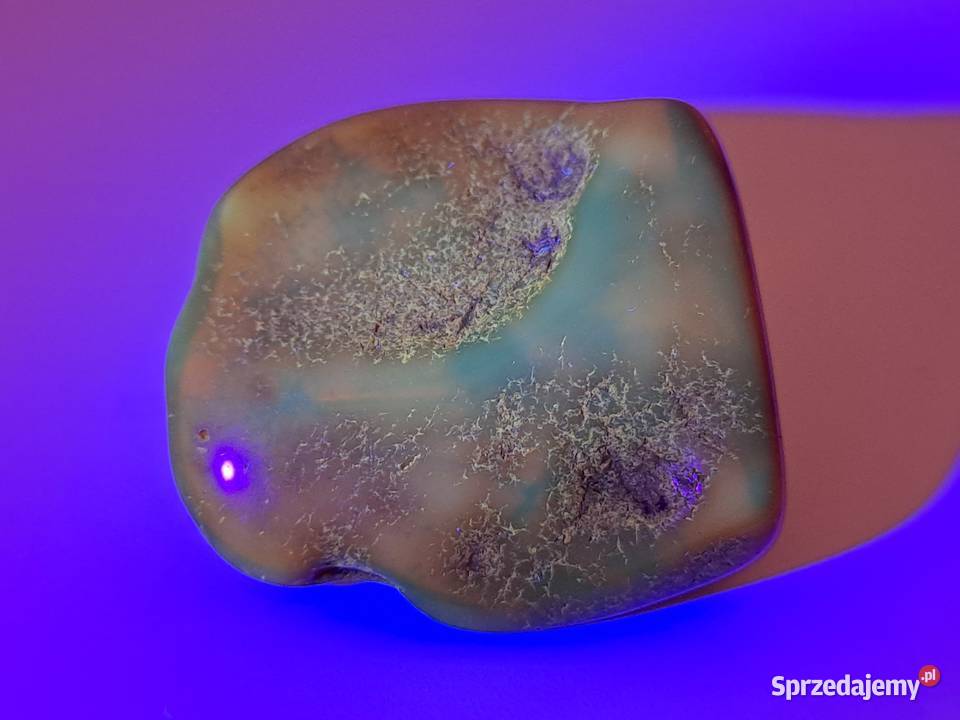 Broszka z bursztynu bursztyn bryłka 1498 Warszawa