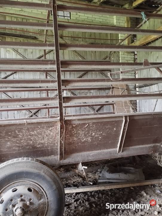 Przyczepa samozbierająca Łosice