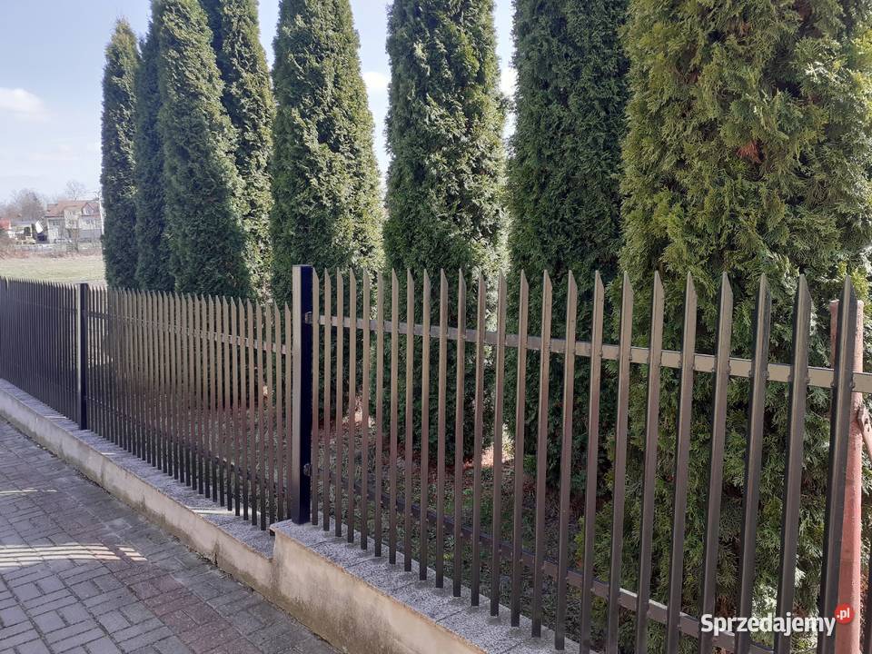 Sprzedam ogrodzenie metalowe