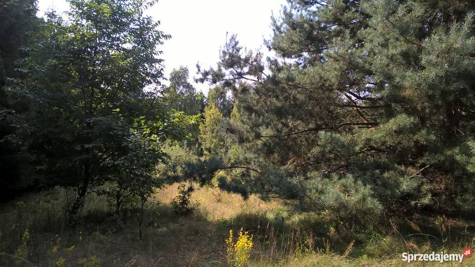 Działka Rolna położona w otulinie Bolimowskiego Sokule