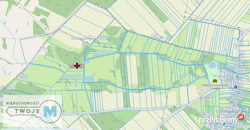 Sprzedaż działki Śladków Duży 43100m2 rolna