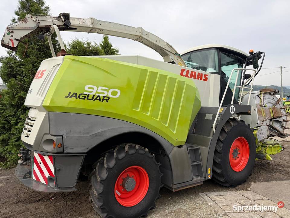 Sieczkarnia do kukurydzy Claas Jaguar 950 w Nowa Ruda