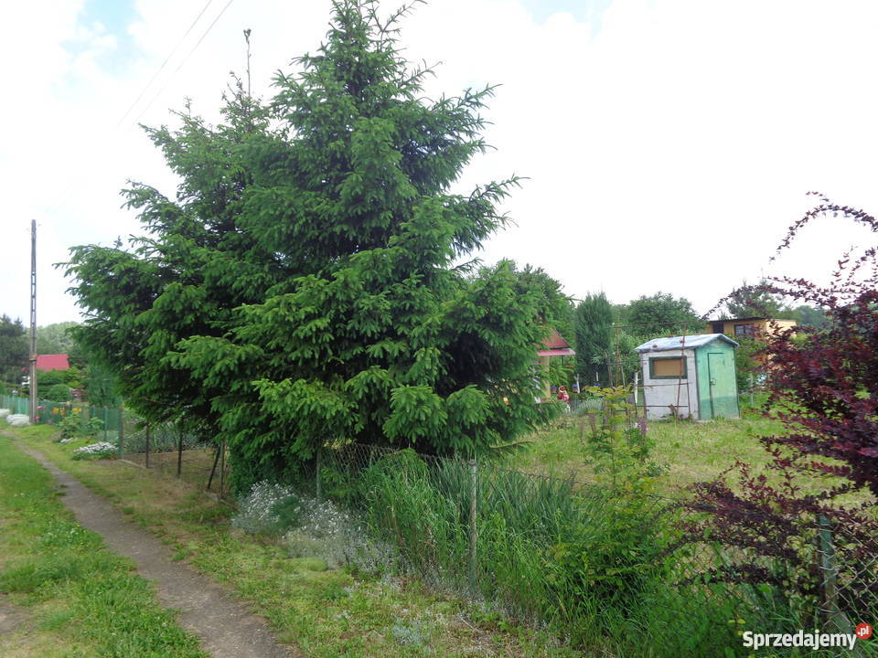 Sprzedam Ogródek Działkowy 400m2 budka studnia z opolskie Nysa sprzedam