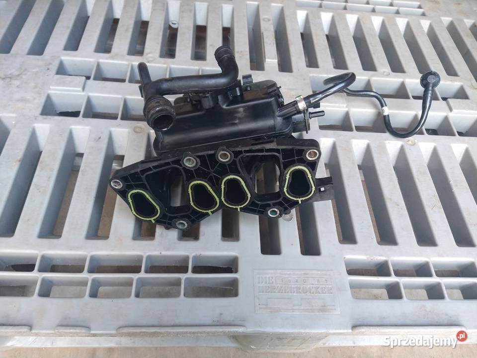Kolektor SSący Dolotowy 55189565 Fiat Punto 2 12 małopolskie Radziszów sprzedam