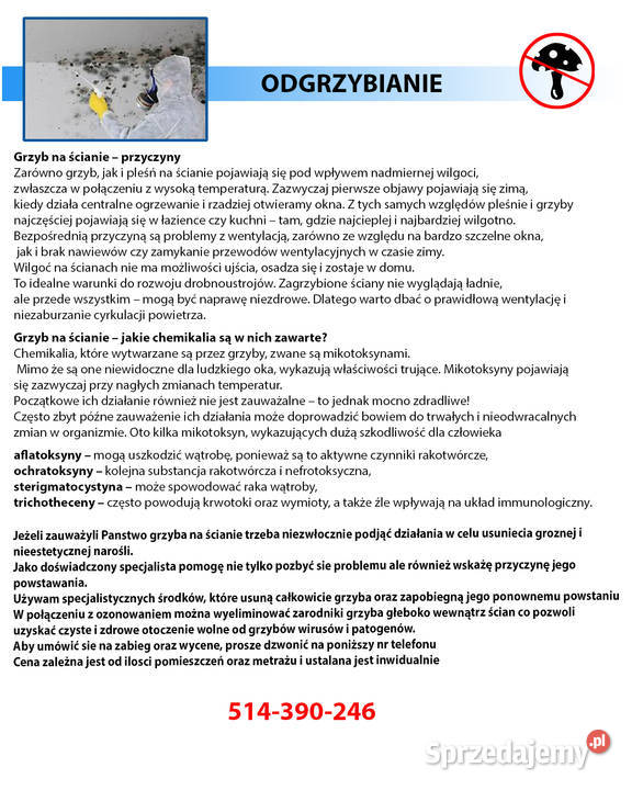 Usuwanie insektów odgrzybianie pomieszczeń Dąbrowa Górnicza