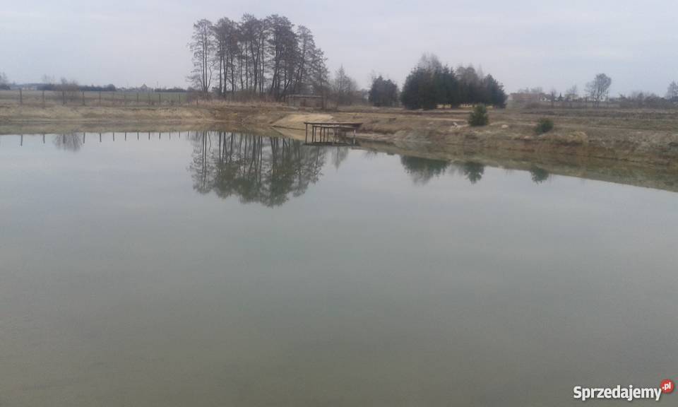 wywóz gruzuusługi koparką krotoszyn roboty wielkopolskie