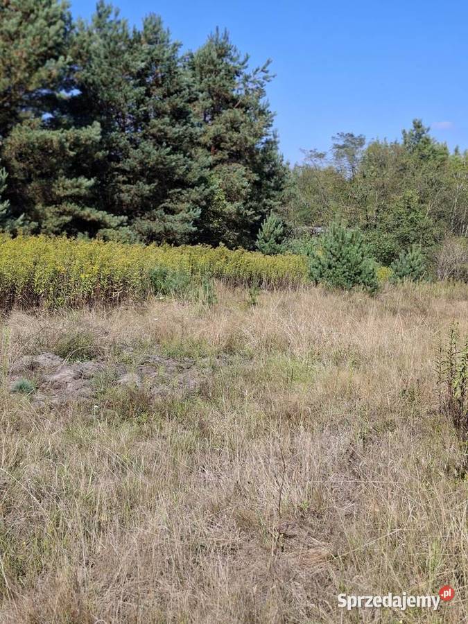 Sprzedam działkę budowlaną Regut budowlana Sprzedaż