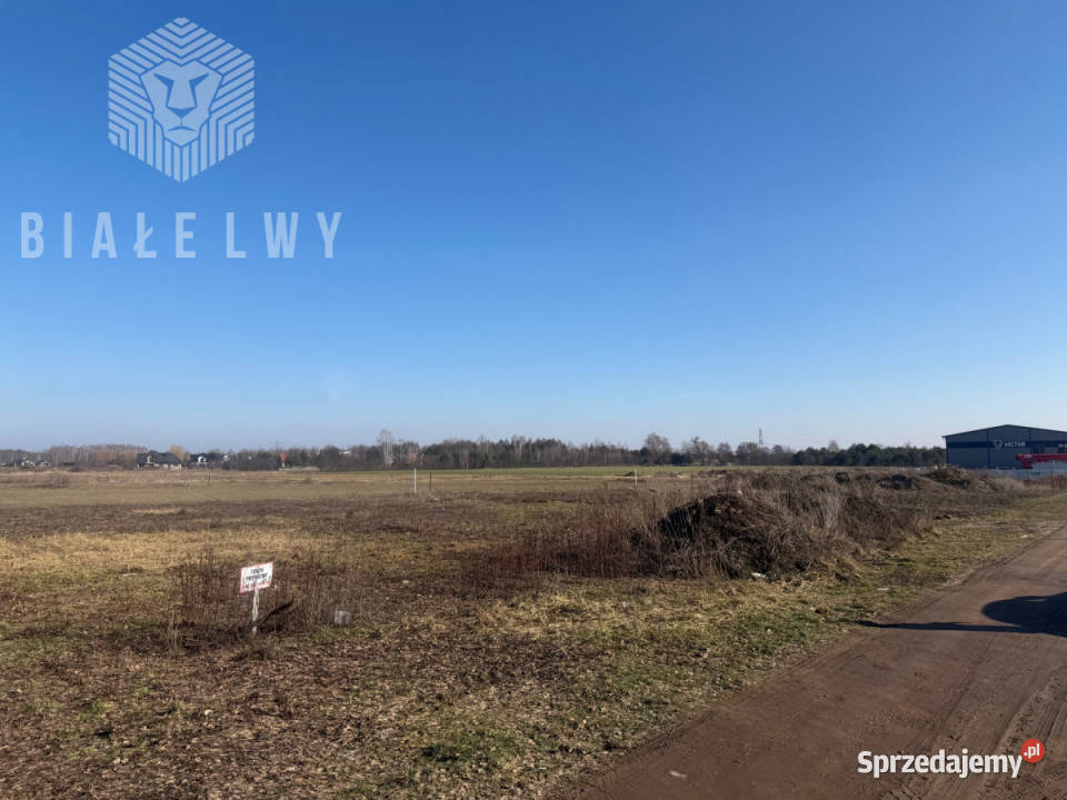 Grunt Walendów 1300m Sprzedaż