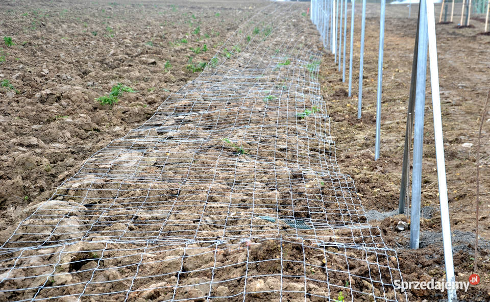 Siatka ogrodzeniowa leśna 1602315 L Kury Sarny mazowieckie Ostrołęka