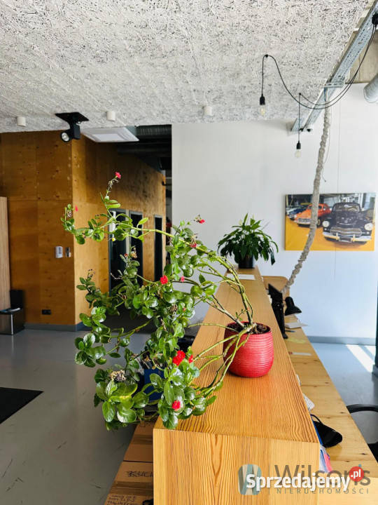 Do wynajęcia lokal 675m2 Warszawa Nieruchomości sprzedam