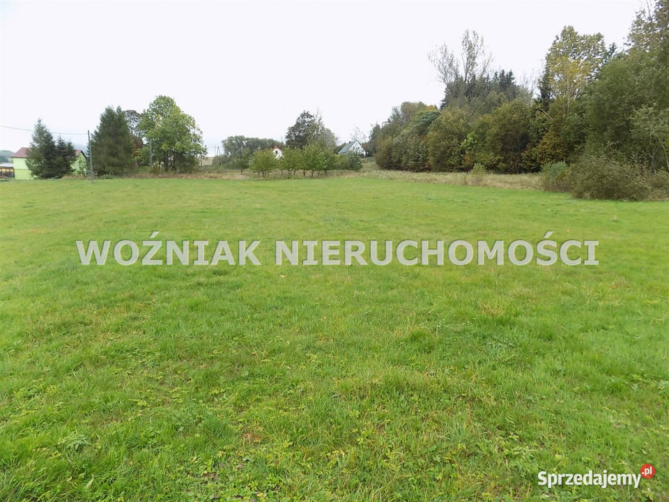 sprzedaży gruntu 3000m2 Bartnica Sprzedaż Nieruchomości