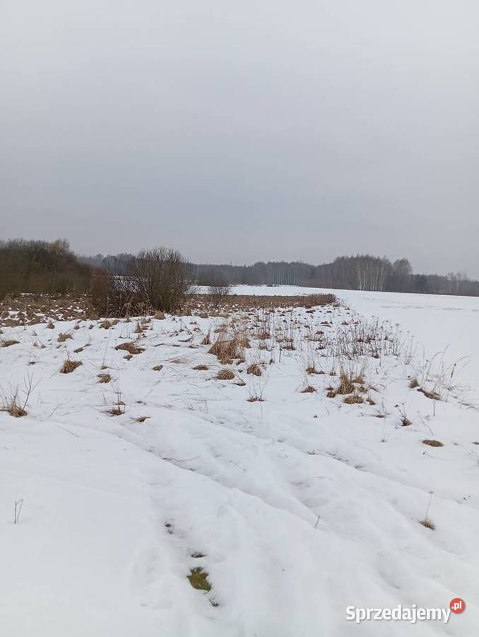 działka inwestycyjną z możliwością budowy stawu Sprzedaż