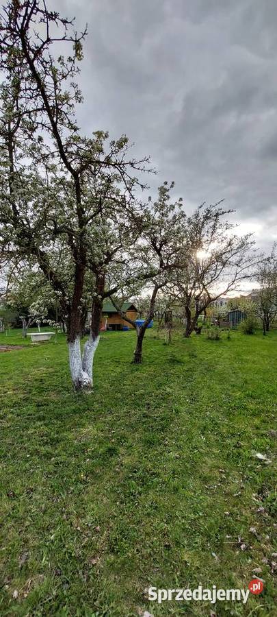 Działka ROD Targowa 260m2 Sprzedaż Malbork