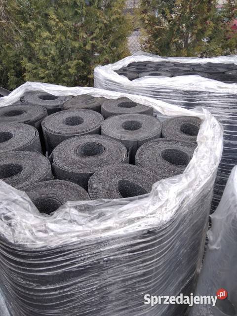 Papa różna Chełmża