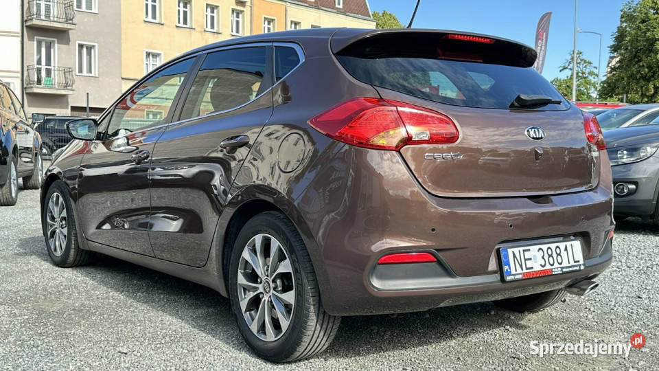 Kia Ceed 16 Benzyna Bogato Wyposażony II 2012 Elbląg