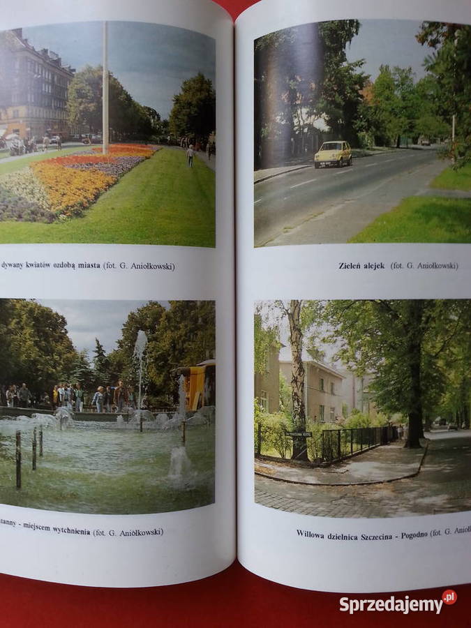 2965 Stan Środowiska Miasta I Rejonu Szczecina Szczecin