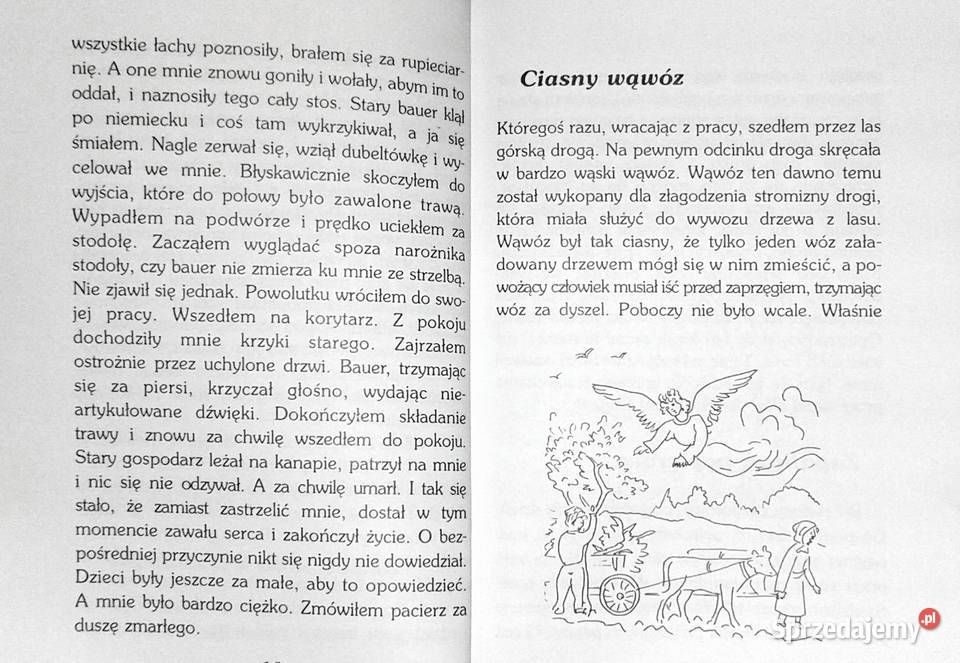 Mój Anioł Stróż Świadectwa Stanisław Borowiec Chełm sprzedam