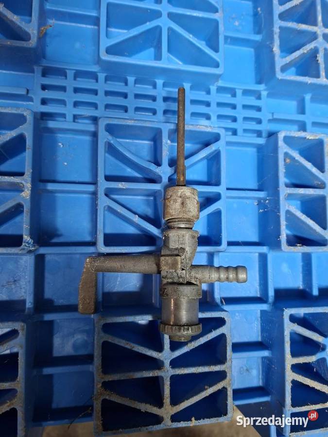 Kranik Wsk Sport Lelek Dudek Bąk Kraniki Koszalin