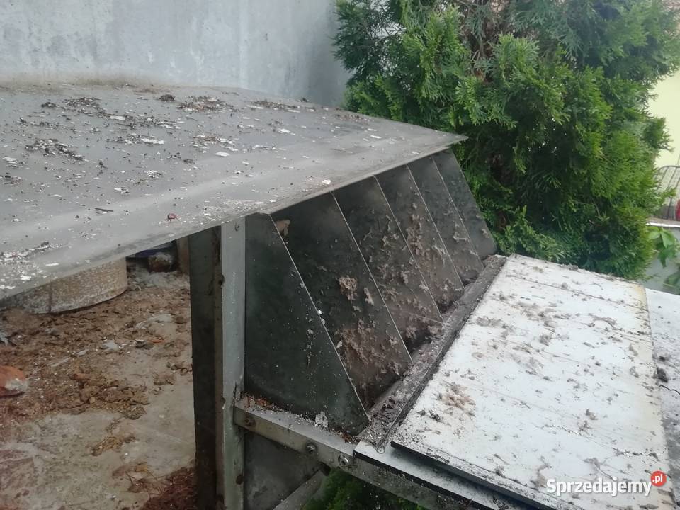 Klapa do gołębnika Dla ptaków Lubliniec