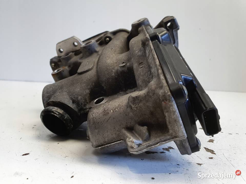 Renault Scenic III 19 DCI CHŁODNICA SPALIN egr osobowe lubelskie Chełm
