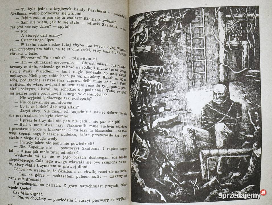 Wyspa złoczyńców Nienacki Zbigniew Chełm