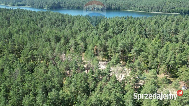 Działki budowlane z MPZP Skorzewo sprzedam