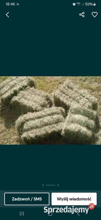 Siano pachnące kostka 2024 Krępa