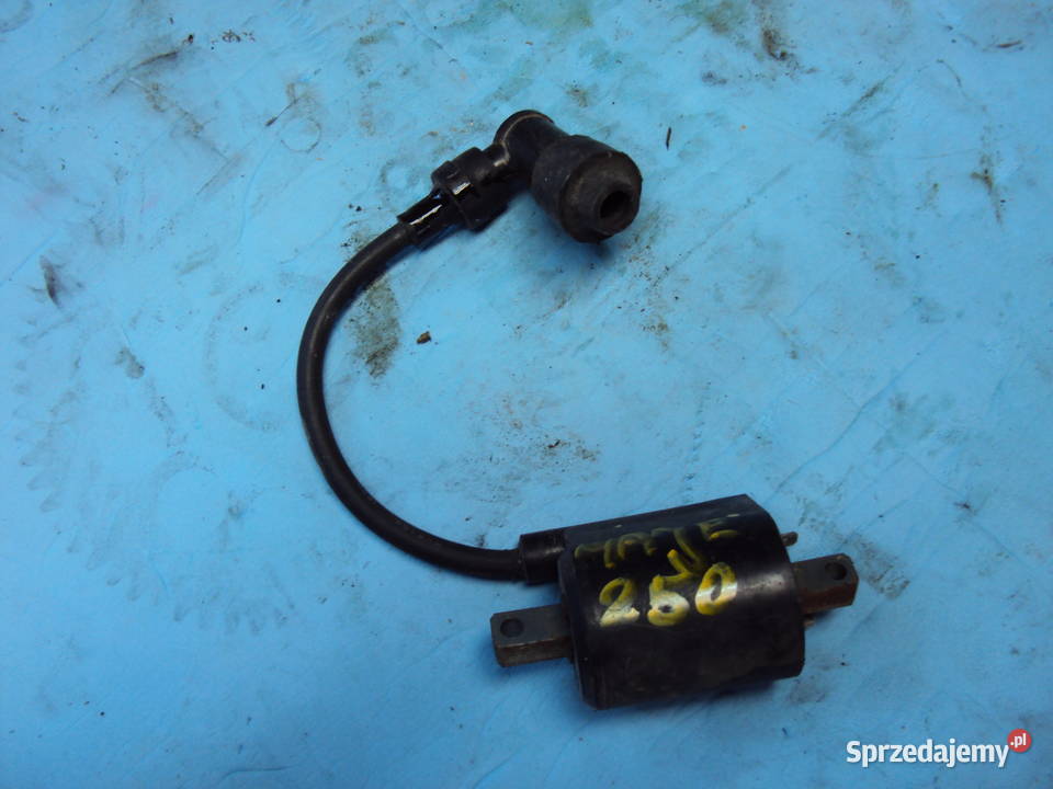 yamaha majesty 250 cewka Kiełczewice Dolne