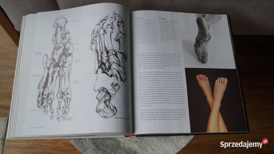 Anatomia artystów Sarah Simblet wielkopolskie Mrowino