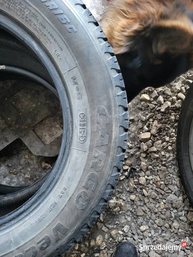 Opona opony zima c 65 sprzedam