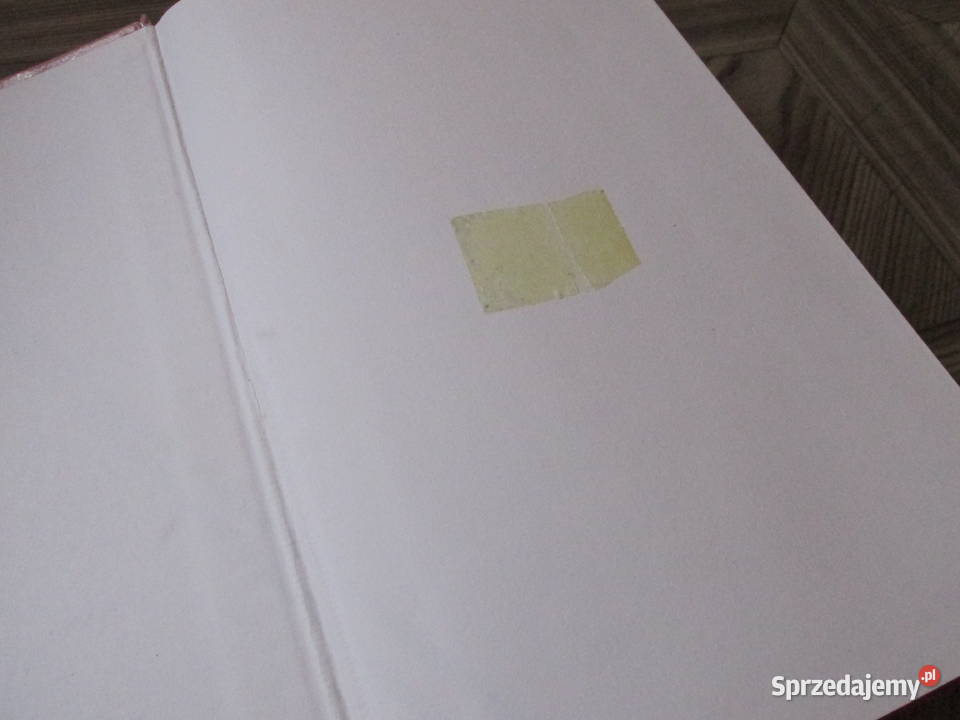 SŁOWNIK JĘZYKA POLSKIEGO Bytom