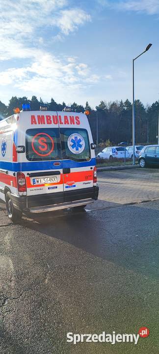 Karetka renault Renault kujawsko-pomorskie Lubicz Dolny