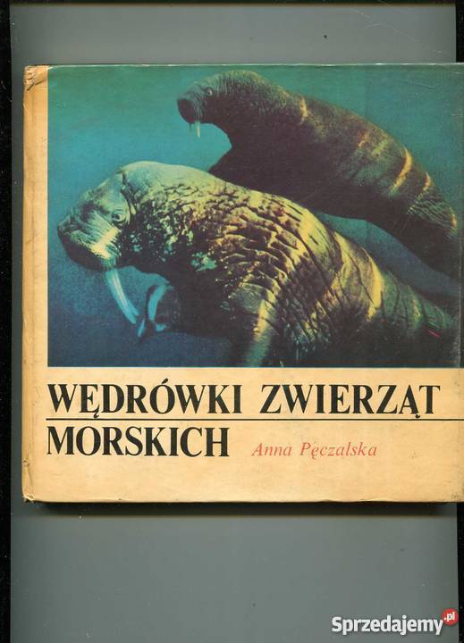 Wędrówki zwierząt morskich Szczecin