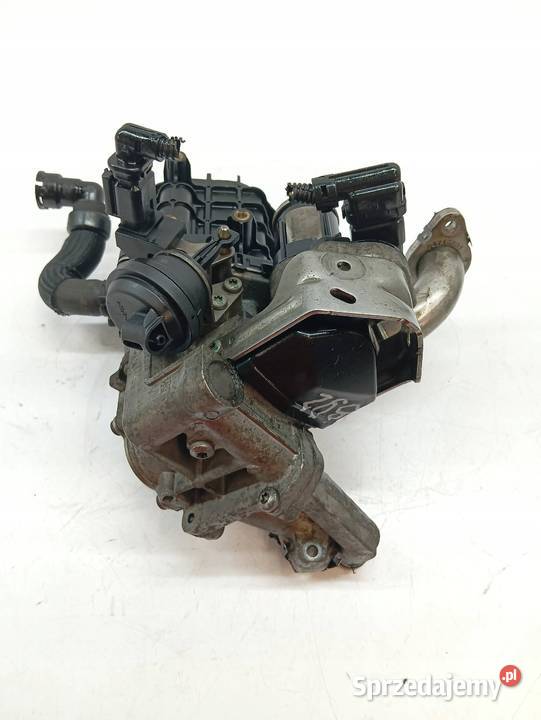 ZAWÓR EGR 9807593080 20 D BLUE HDI Toyota ProAce