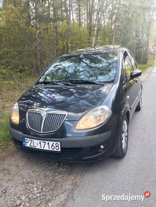 Lancia Musa Diesel 19 JTD 74kW 2007 manualna Poznań