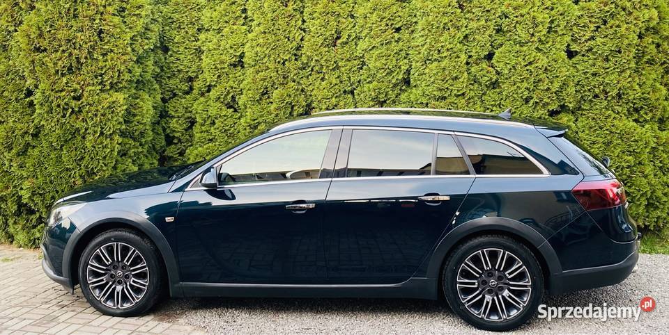 Opel Insignia Stały napęd 4x4 Tourer Sports 20 diesel podkarpackie Rzeszów