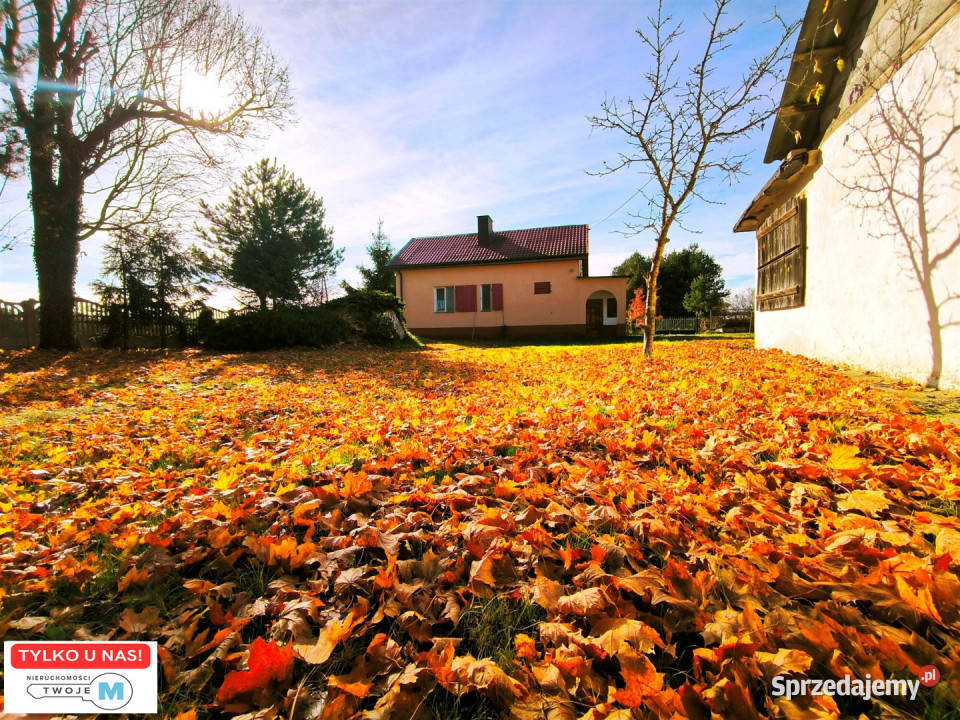 sprzedaży domu wolnostojącego Małogoszcz 100m2