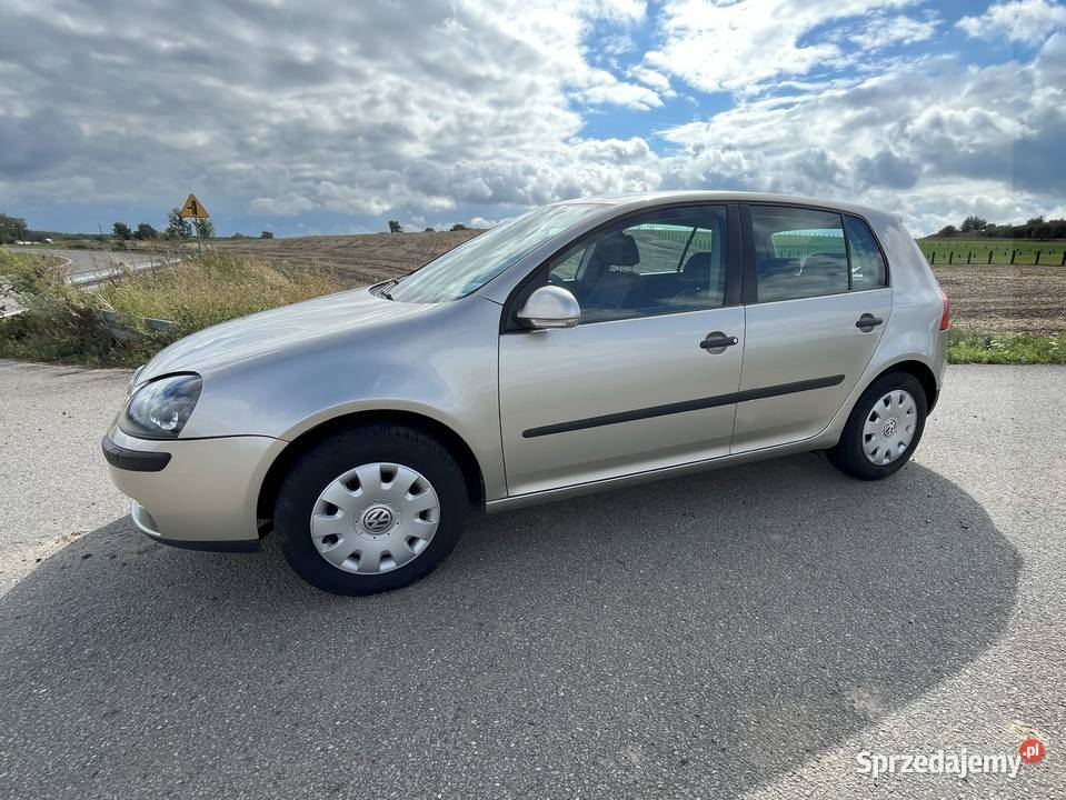 Volkswagen Golf 5 14 benzyna 2005 Niemodlin