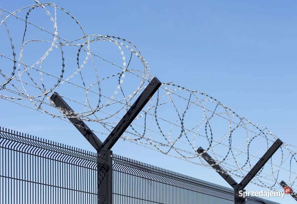 Zasieki concertina 730 mm 53 zwoje 3 złączki Pozostałe