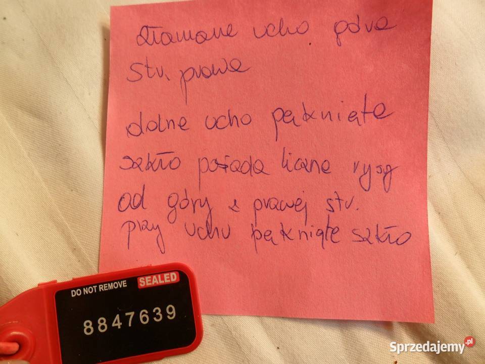 LAMPA PRAWY PRZÓD EU SKODA ENYAQ LED sprzedam