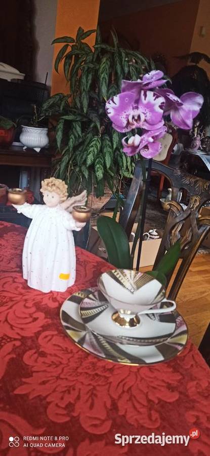 Filiżanka z talerzykiem śniadanie Gdańsk