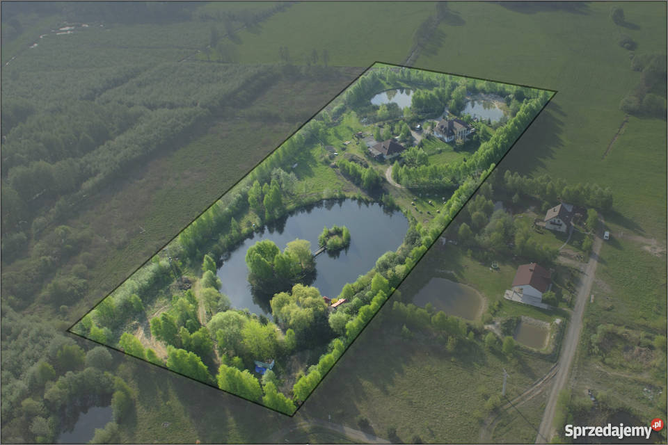 Dom dworek z działką 27ha pod Toruniem olejowe Domy