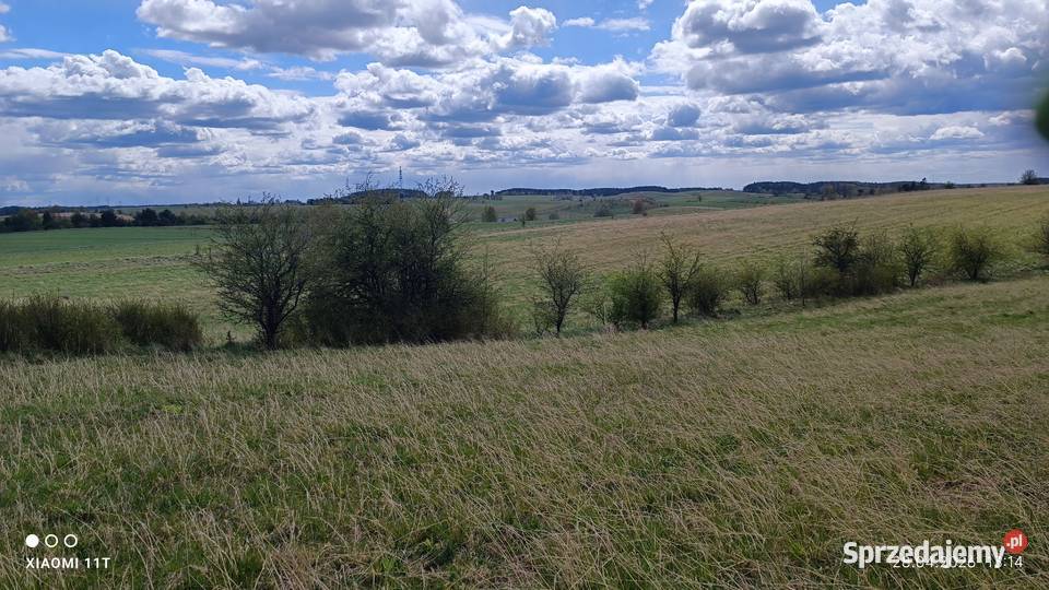 Działka z warunkami zabudowy bud 23zł/m2 Nieruchomości Trelkowo