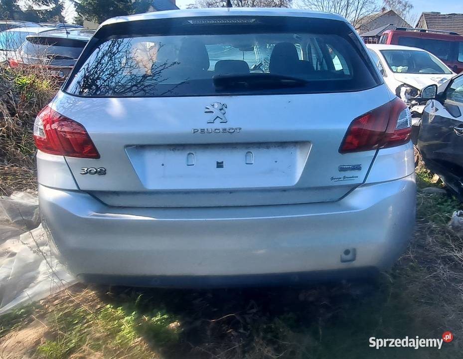 Peugeot 308 t9 EZRC Jaroszyn