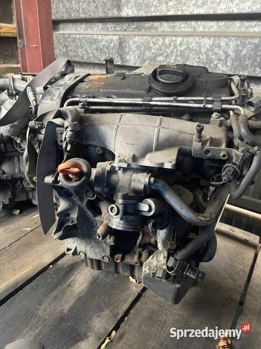 Silnik 20TDI BWV 140 300 osobowe Nowy Targ
