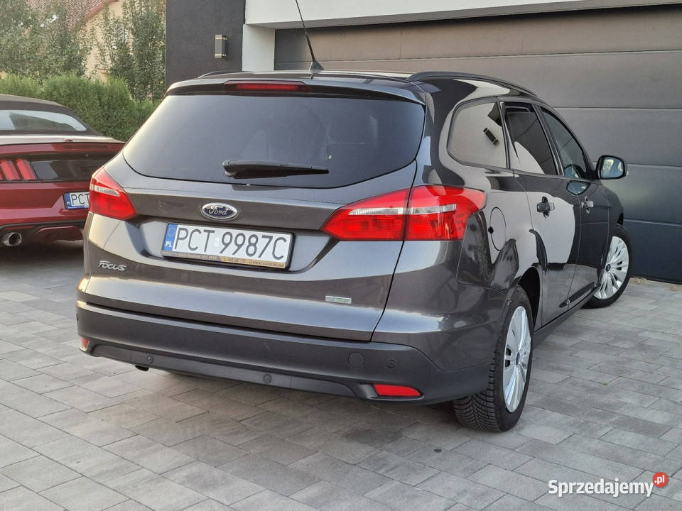 Ford Focus BEZWYPADKOWY duża nawi SYNC nowy Czarnków