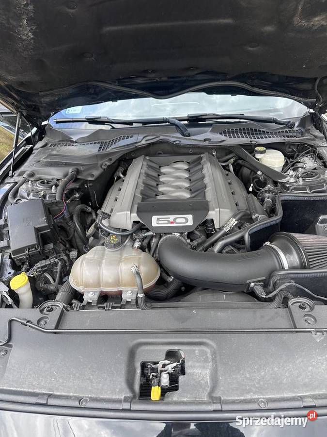 Ford mustang 50 GT nieuszkodzony Nysa