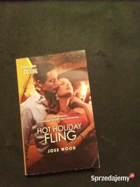 Hot holiday fling angielsku